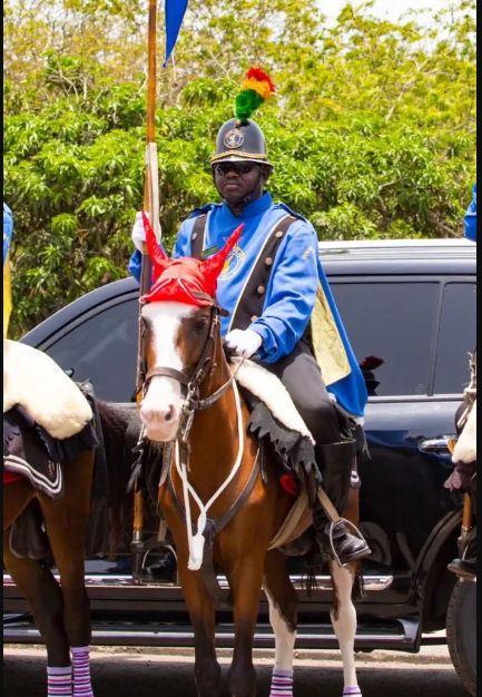 Police mourns one of its beloved horses, P/H Corporal Queen Mother