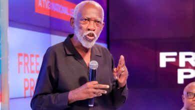 Prof. Stephen Adei opens up on how he was 'kicked out' as GRA board chairman