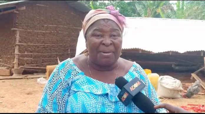 I will complete Saglemi housing project if… – Akua Donkor