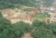 A Rocha Ghana, 6 others to sue govt over ‘galamsey’