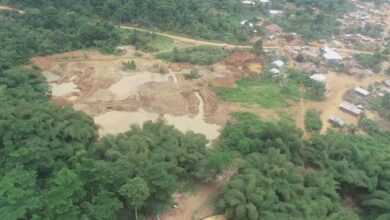 A Rocha Ghana, 6 others to sue govt over ‘galamsey’