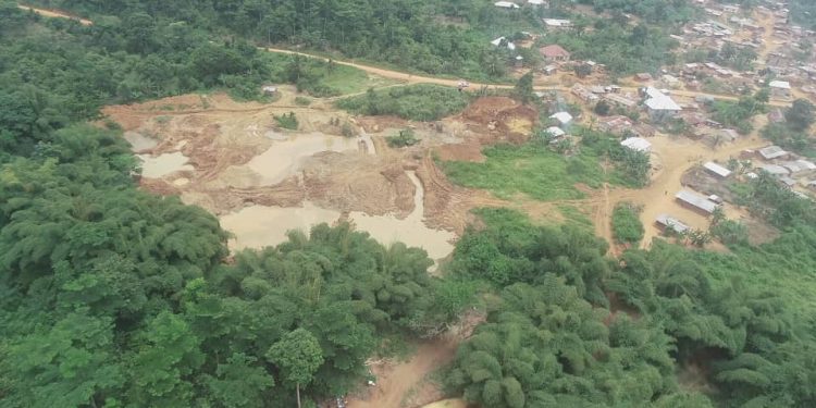 A Rocha Ghana, 6 others to sue govt over ‘galamsey’