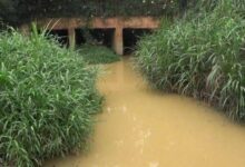 Illegal mining in Densu River Basin threatens water supply for 2m Accra residents