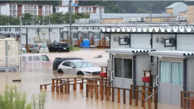 Six dead after record rain causes floods in Japan