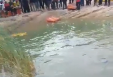 VIDEO: The moment NDC protesters swam in the National Cathedral Pond